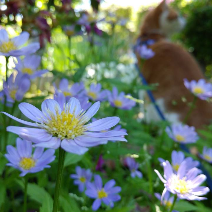 50aa3788 072c 4131 a2f4 366a0725d239 1526794639295