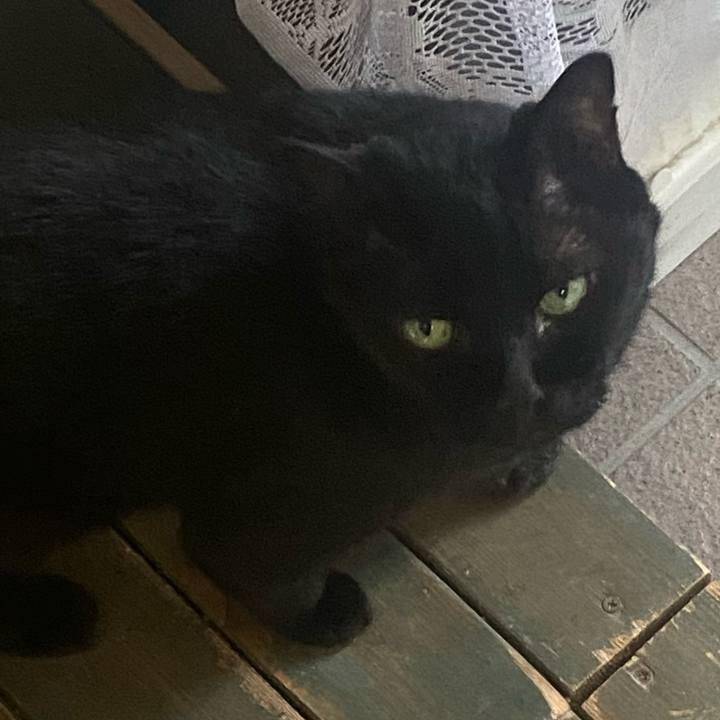 50aa3fb8 631e 4278 ae14 dce3ba05bbfe 1752978100274