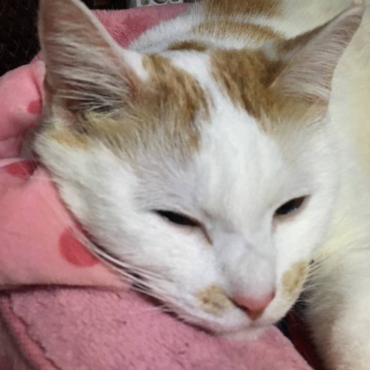 50aa4d87 845d 40ec b9be 3eabcd6702e8 1520171542054