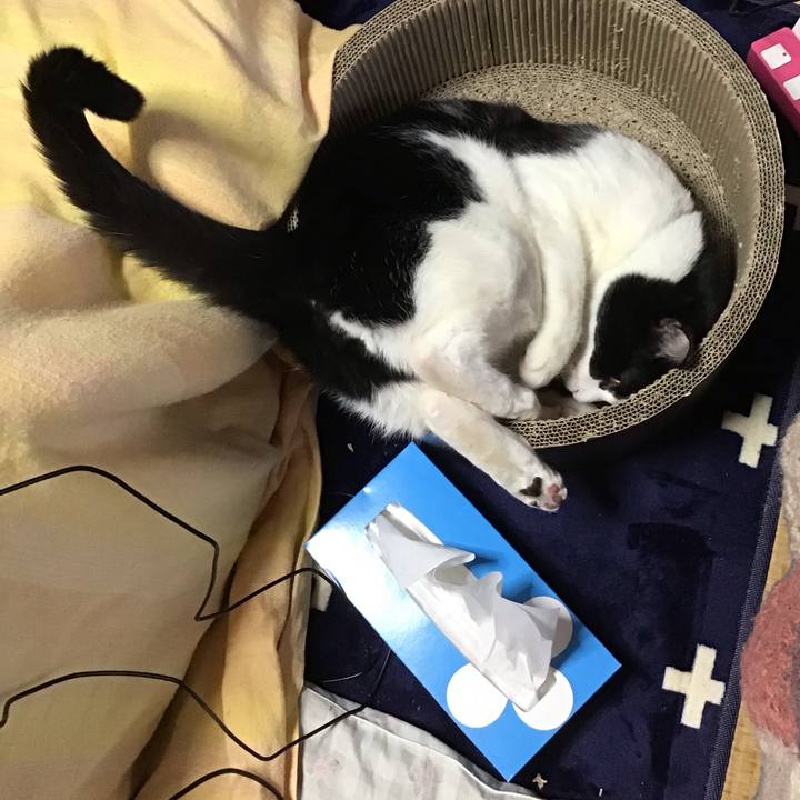 50aa7f6f 179d 4dfa 815c f859b64ac3e4 1707210832871