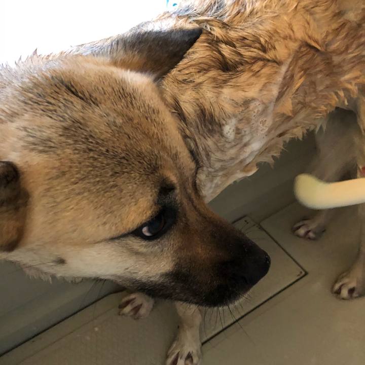 50aa8fef c436 42db b368 452932a6ee7c 1520074029592