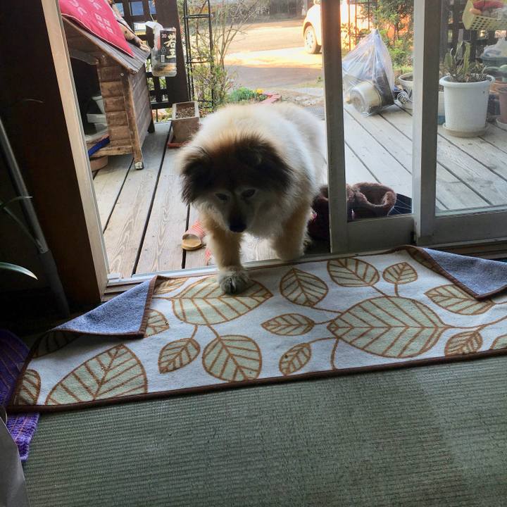 50aadaa3 09e5 44da bf1b 24bf3d7b4506 1563803436362