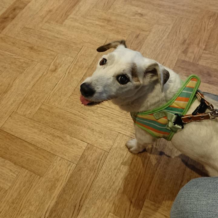 50ab1561 d9ae 4905 b0a6 f5c2fb2510a1 1599227861890