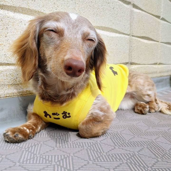 50ab2c41 3b18 40e0 b45e f08ece2e23ab 1763204368271