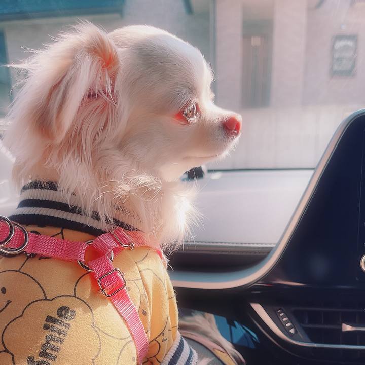 50ab3bd8 0819 4b68 b734 11770f867f36 1708146292885