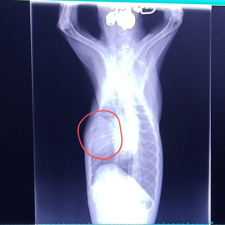 50ab72f9 1a9e 4277 9720 27a81071d4c1 1752817823100