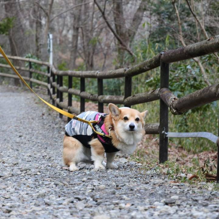 50ab9cdb 757b 4a7f ae0c 6d2259b548af 1709477025655