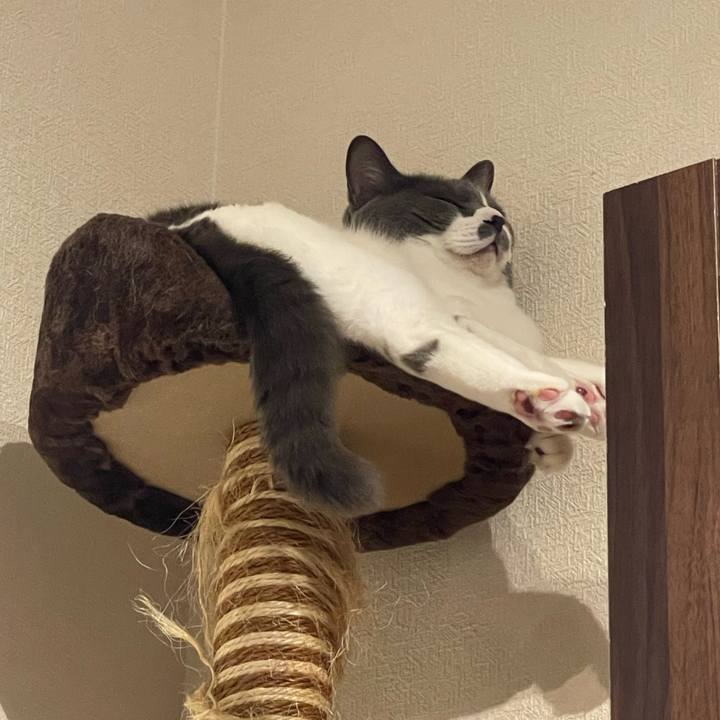 50abb5e1 ed3a 451b 9d10 b3ca386984b7 1754651631709