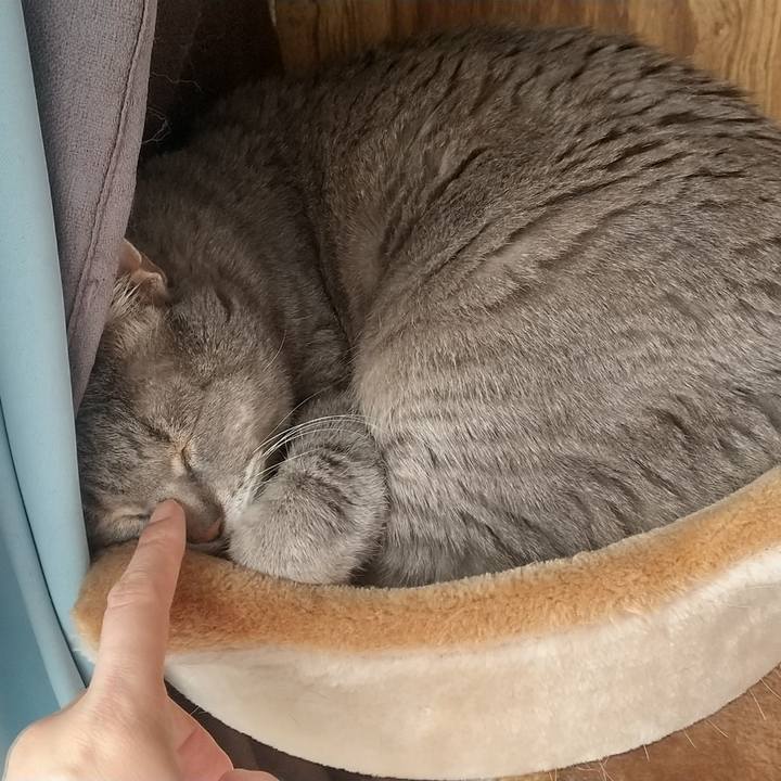 50abbe60 794c 4313 baaa 50846bf3144f 1620021866521