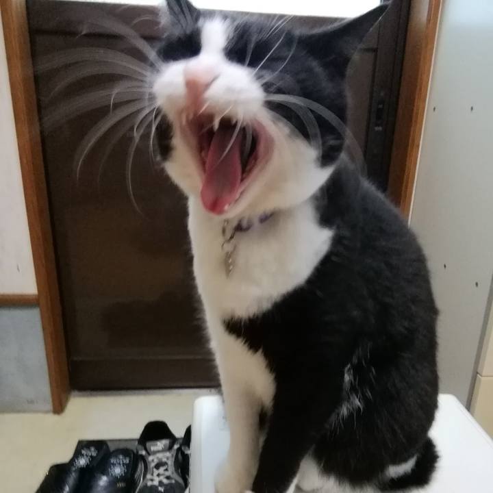 50abc398 be21 4aaf b7de dfb4d9343bf0 1605403022746