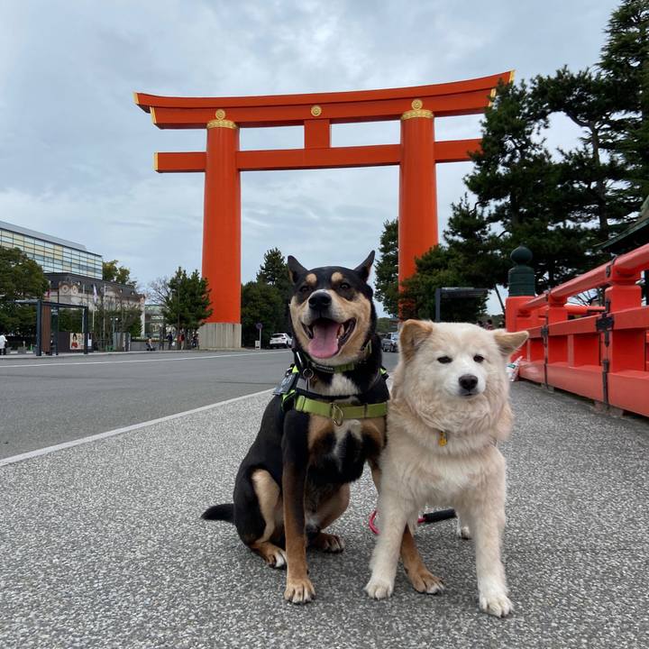 50abed3c 87a9 47c0 8970 fee862bacb04 1679460735397