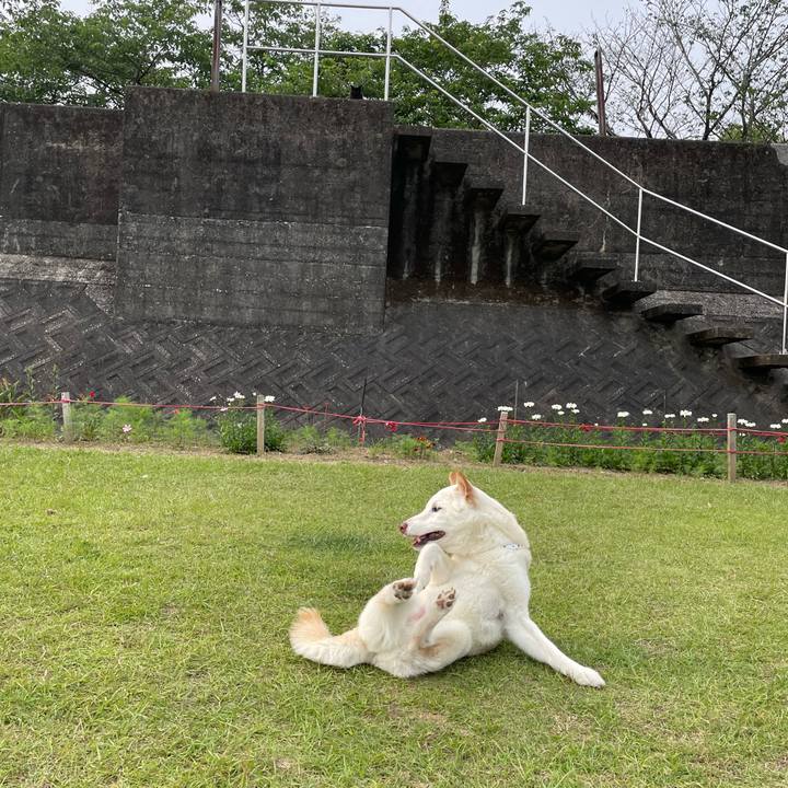 50ac065d f027 4ce7 8e9f 54c288815067 1653316124010