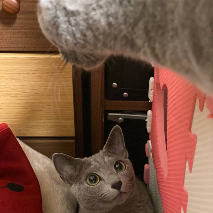 50ac28f4 4c81 4109 9db8 fdd42c8619a5 1636372534881