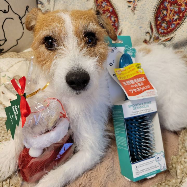 50ac3008 c413 4302 b70a 4adc6403d373 1671953574350