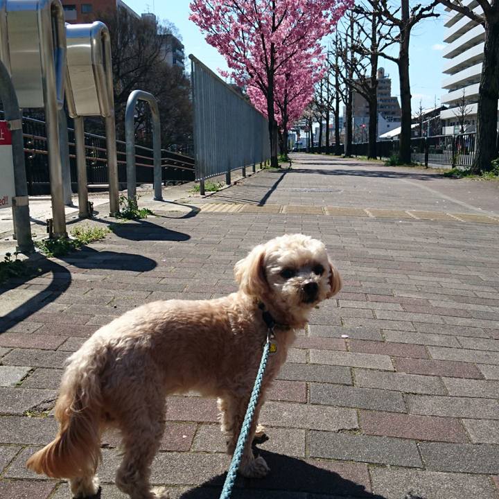 50ac3b92 fe3a 404f bc41 3188c7710af2 1585146408711