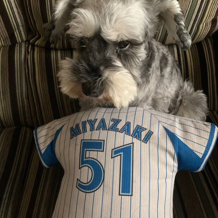 50ac583b 52d8 4a95 b94c 606900a2c008 1663392417202