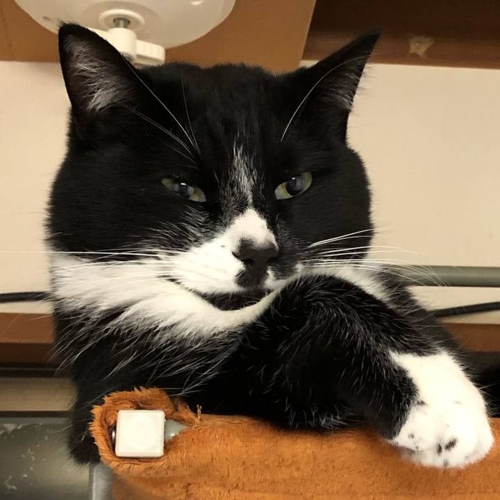 50ac8068 645c 4d02 a97c 409d3f96f5e9 1581479145445