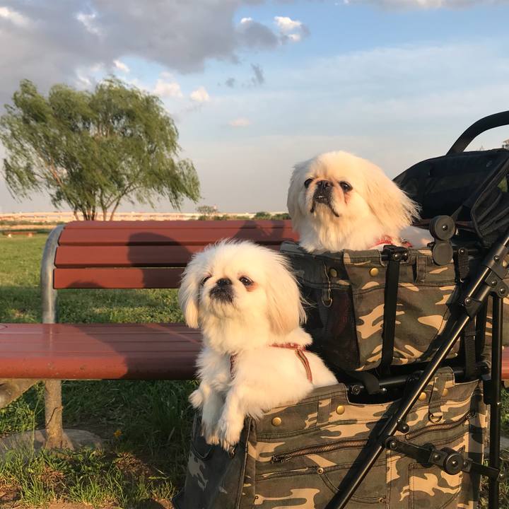 50acb363 f6db 49ad 9bb7 5c29d39cd9b9 1523268291979