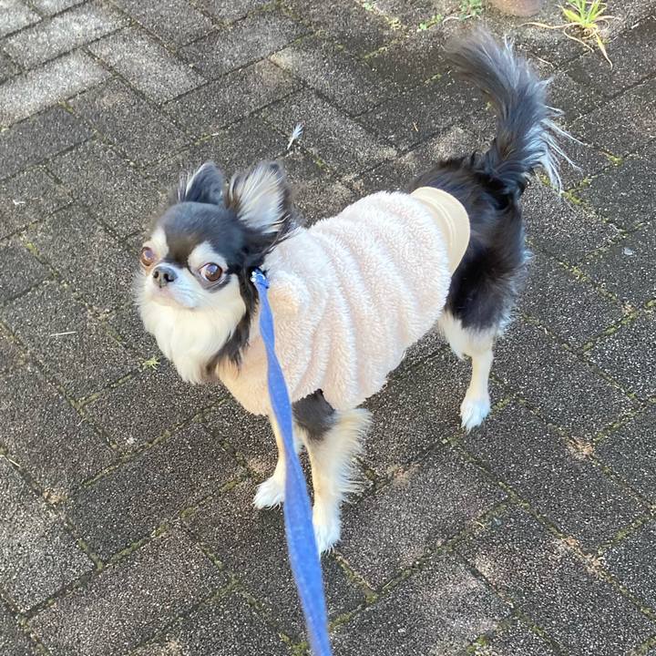 50ace0e5 24e0 4dd5 92fd 6851a67ae5bc 1677337267722