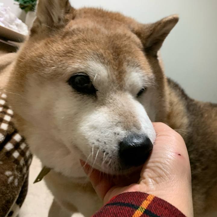 50ad3c19 ca2b 480d a0cb 78b27a62575e 1576412322420