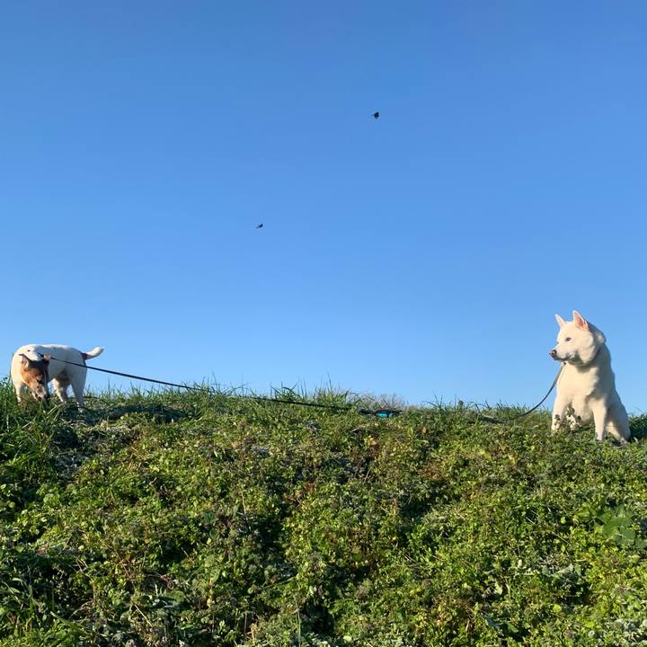 50ad540f e934 4e8f 9cb9 2d2bd3237afd 1546563191469