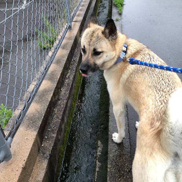 50ad6a09 d4b8 4721 a273 608146c97e0a 1529406403710