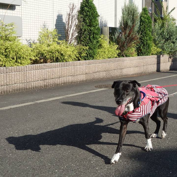 50ad810c c046 4b86 9008 9c950430e60c 1690156381699