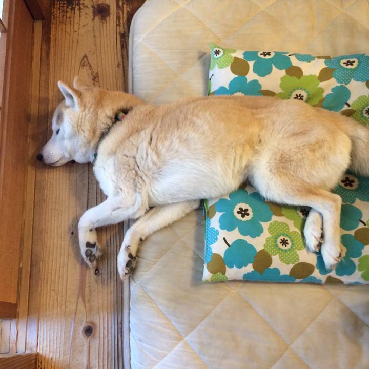 50ade974 51f8 40c0 b266 f6e12e6ffe9a 1564478546849