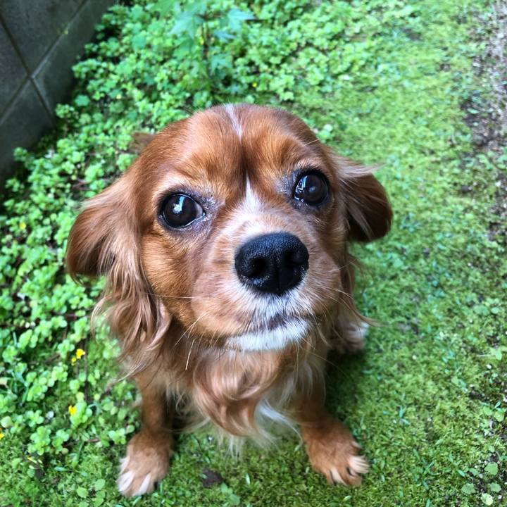 50ae03f1 2d8a 40ad 9f23 9f01fc294950 1556931113285