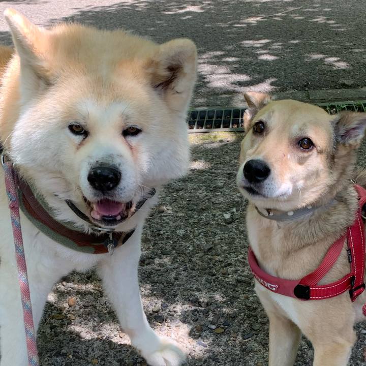 50ae256b e83c 4ccd 98af 96d4ed6e1b63 1620544352160