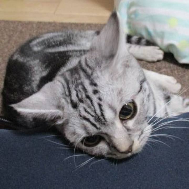 50ae32f8 8ae9 4de3 99c1 e281600b2461 1544351533668