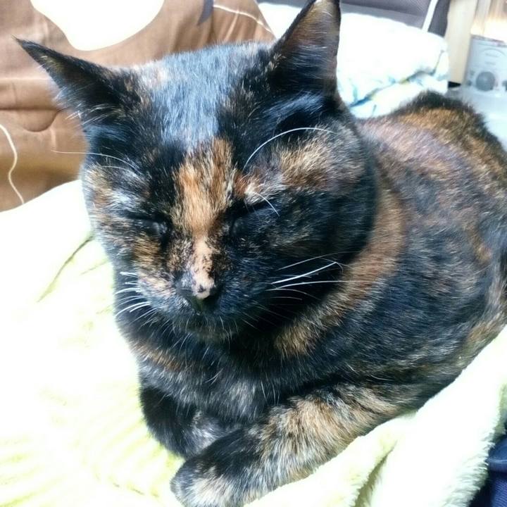 50ae45b7 6427 45ed 80b5 9d9f11090c09 1548554792474