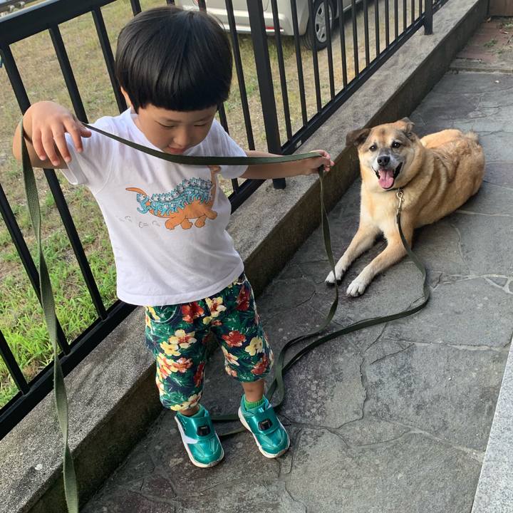 50ae8a73 fd27 433e b357 d2c112a7d286 1565434415436