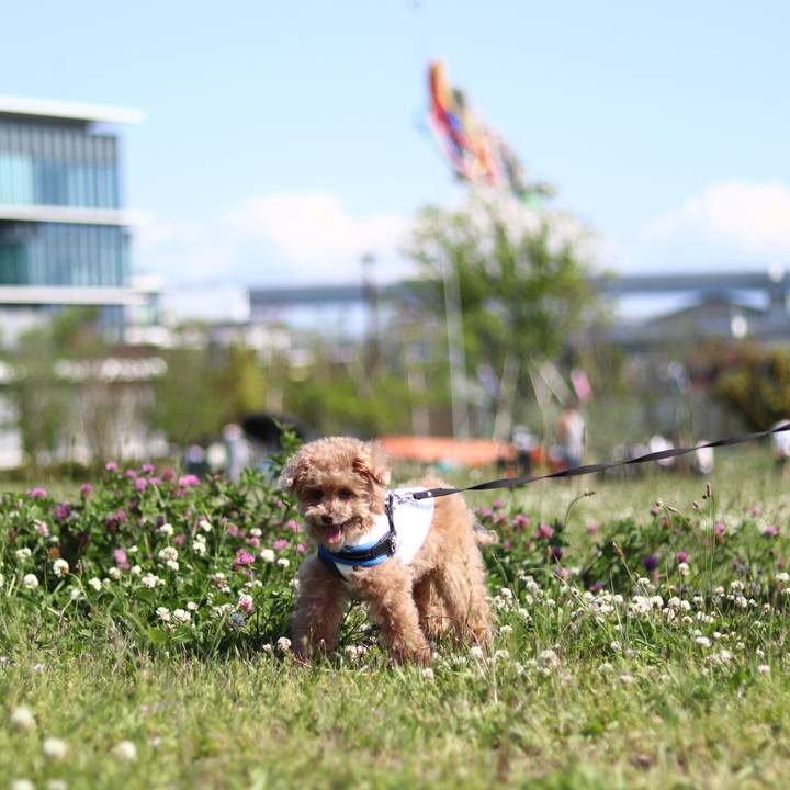 50aea78c f1ea 4cec a5f3 5a59d66807f4 1651714191301