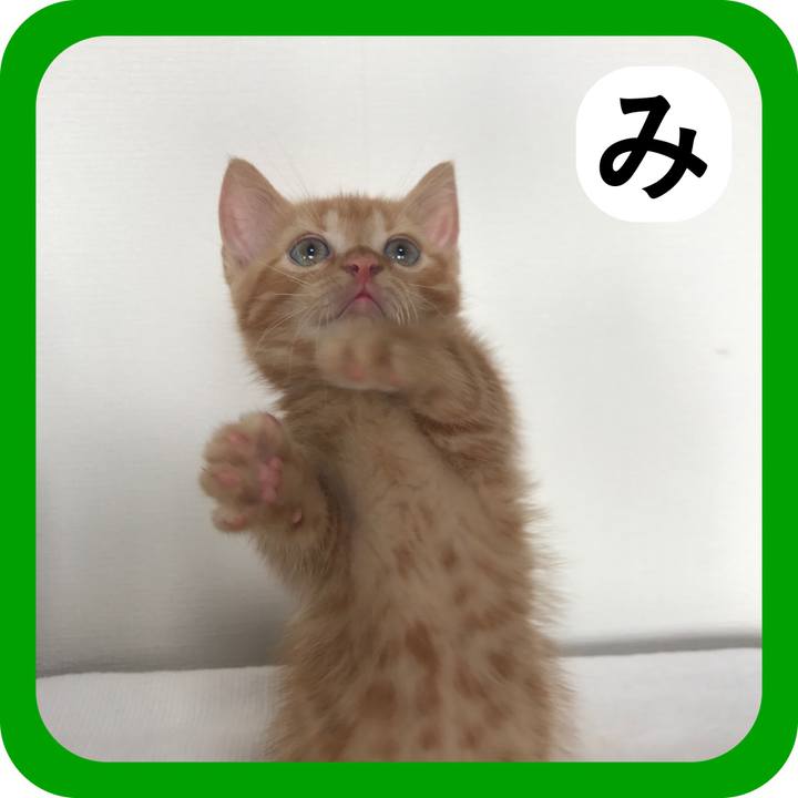 50aeab7b 32fa 420e 872b 79e297b54dc2 1515167127405