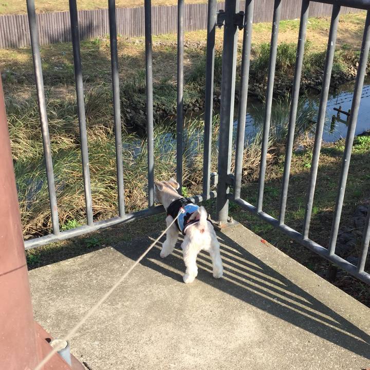 50aec84f 95f0 443b a98a e649757eef7e 1540626349996