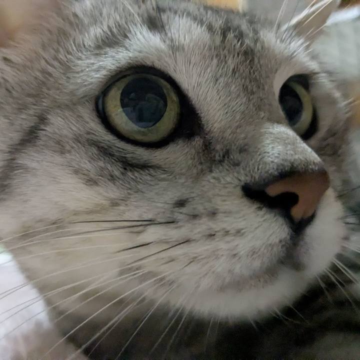 50aeecbe cdb5 4776 ab72 661145eaea35 1748098504403