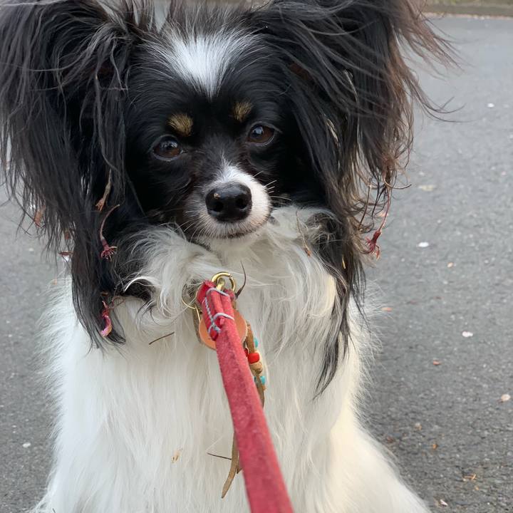 50af05b7 c7d0 4cd2 b699 5b59d5953a56 1555578612999