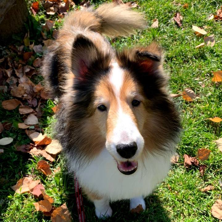 50af090f 7477 4ec8 a496 5ce42232e73e 1757817915392