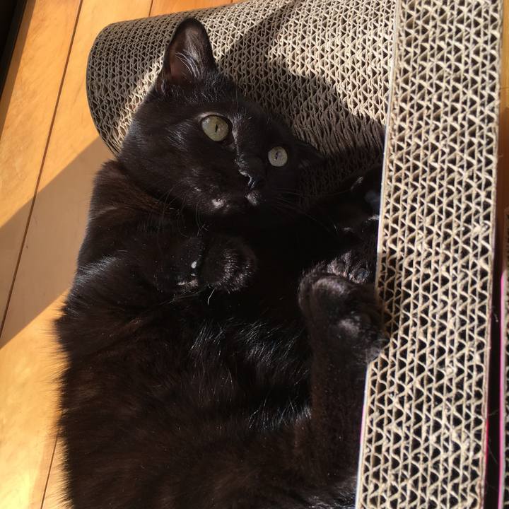 50af0db2 c1a3 4cf3 ac27 f7e57c1c5255 1509088743021