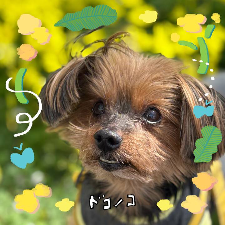 50af3c75 ba83 4b8c b2df 349b541b5cbb 1744260798628