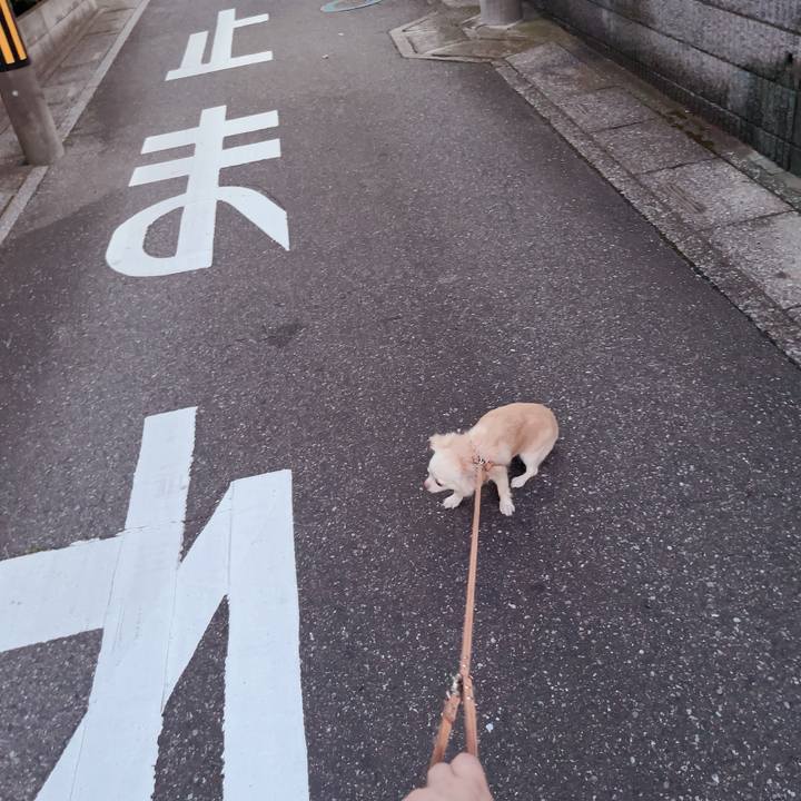 50afcf20 02da 4d3d 9a18 eeaa245feebe 1718798698683