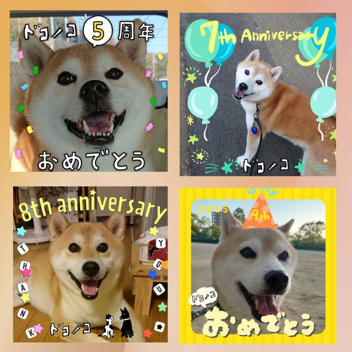 50affc3b 3e63 4885 bca8 e73b00596034 1749372958112
