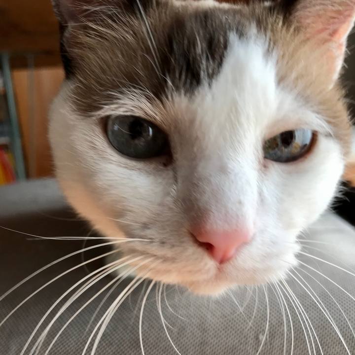 50b008f8 6ed1 4936 966f 19be8e106b8d 1572748298677