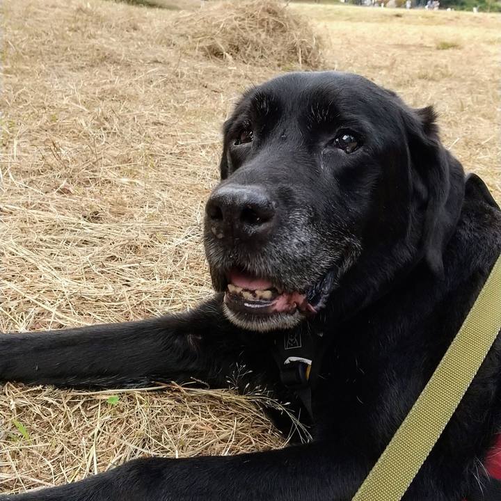 50b00ead 2b6a 44d6 b66f d2ed93f6f10b 1697269386977