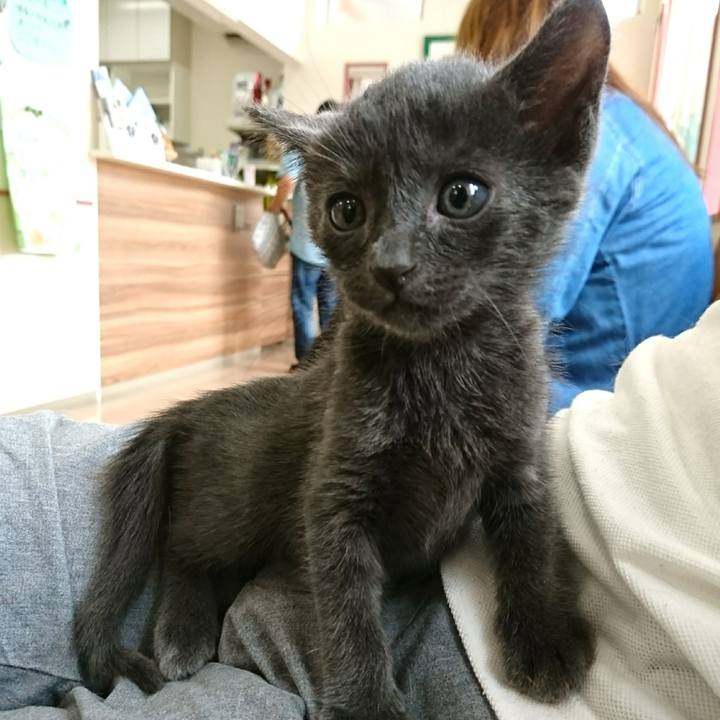 50b04737 36f5 4f9f b22b 99f4c6af8065 1538232841732