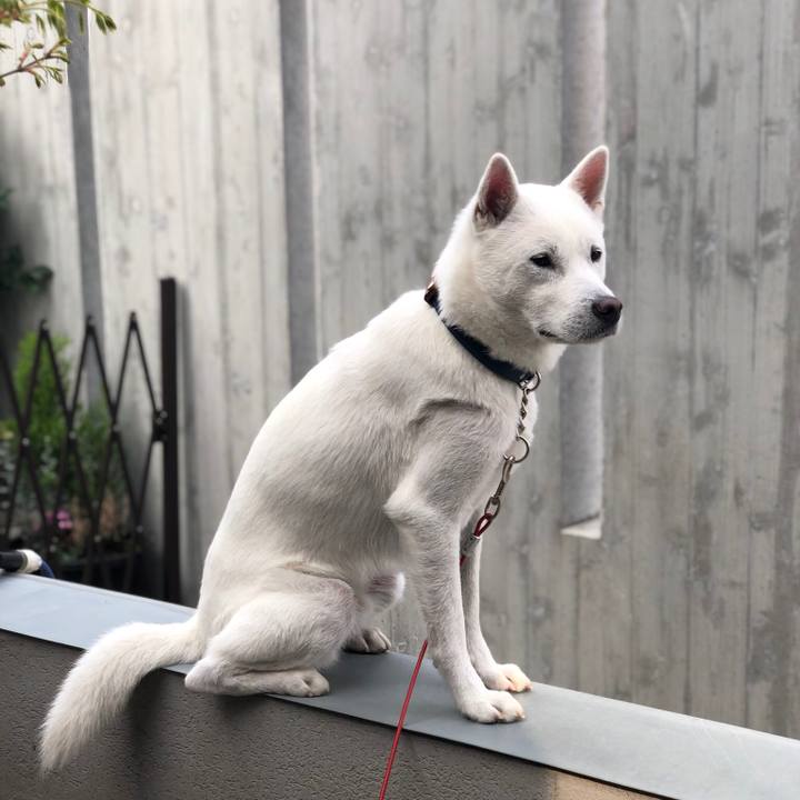 50b0475e f92b 449e 806e 06a527e2a586 1552781989177