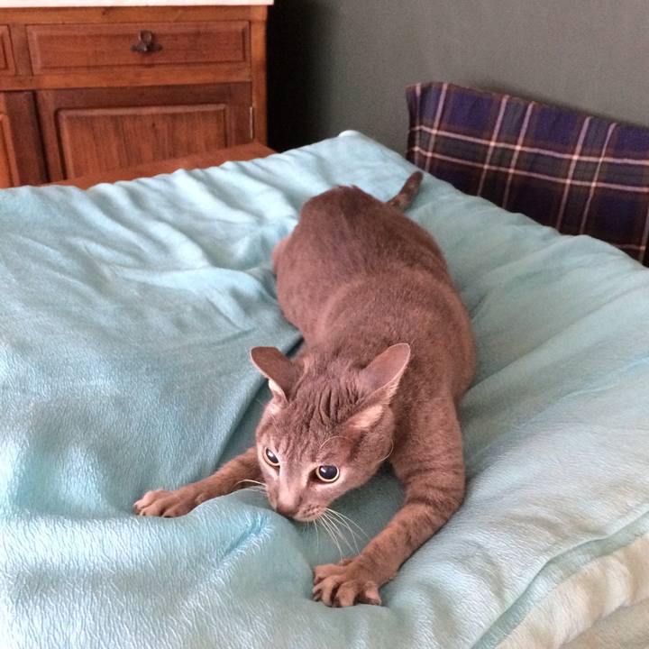 50b06645 0815 4c73 be6b 1e92df3e218d 1513354921689