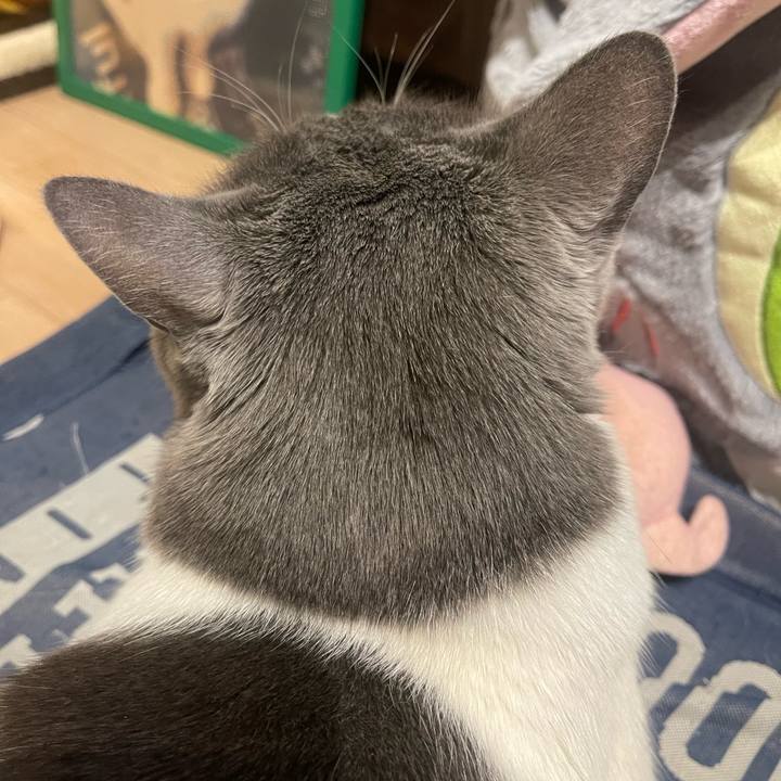 50b0972b 42fb 48b3 9a7f 369732f5721c 1746205588003