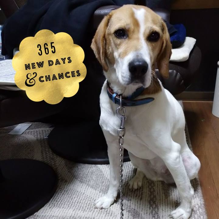 50b0b910 438b 4c2c 96c2 3be4fb105612 1611140165145